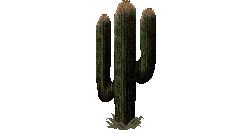 Cactus_a.png